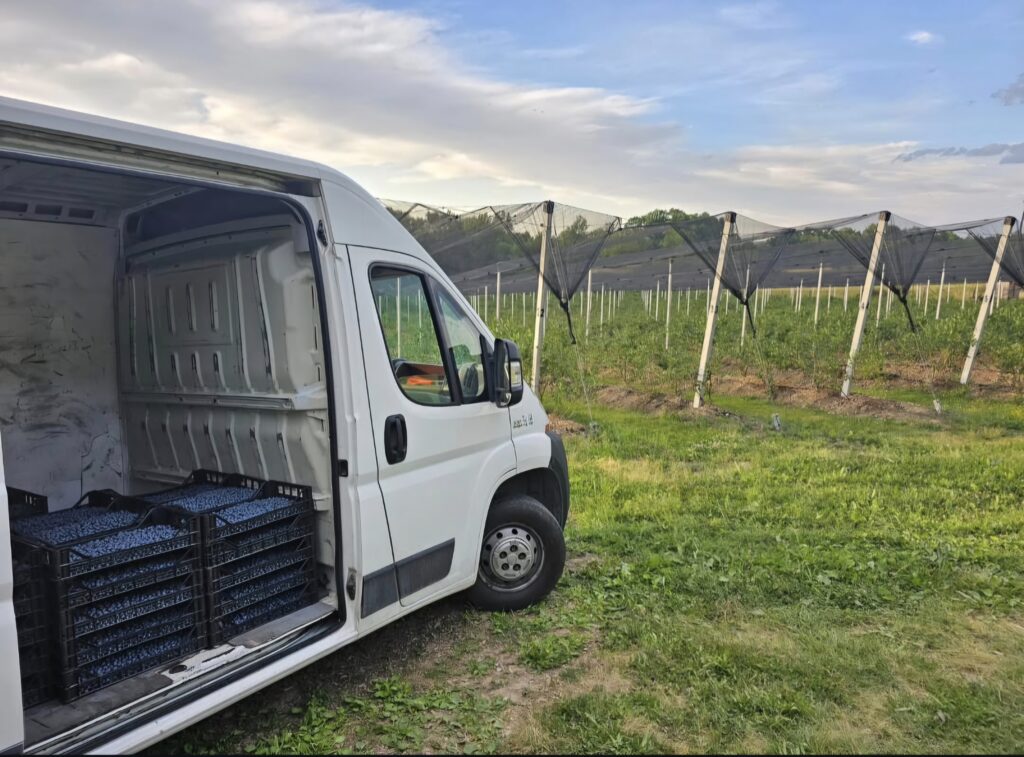 Transport poljoprivredne opreme i proizvoda - šlep služba Nestorović, Lajkovac